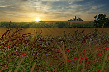 maják bastorf, kühlungsborn, krajina, Baltské moře, maják, západ slunce, nálada, prázdnin, dovolená, letní, mecklenburg západní pomerania