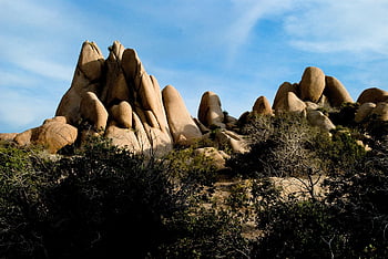 Joshua Tree National Park, berg-, rotsen, bomen, rotsformatie, landschap, natuur, toneel-, toeristische attractie, Nationaal Park, Californië