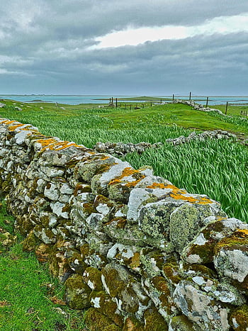 stone Wall, fields, wall, grass, rocks, stone, rural, countryside, old, ancient, moss