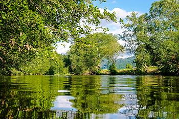 zdjęcie panoramiczne, krzaki, staw, Natura, krajobraz, zieleń, odbicie wody, scena plenerowa, spokojne środowisko, naturalne piękno, Spokojne ustawienie