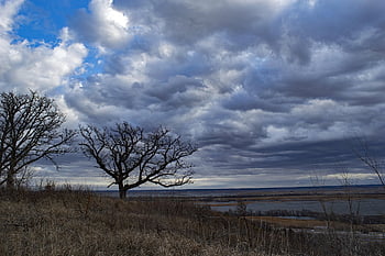 star School Hill Prairie, conservation Area, missouri, loess Bluffs, loess Hills, wildlife, hiking, hills, prairie, landscape, winter