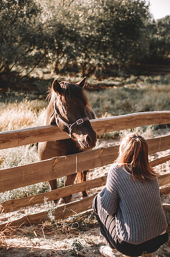 cavallo, ragazza, natura, ranch, recinto, animale, mammifero, equino, azienda agricola, rurale