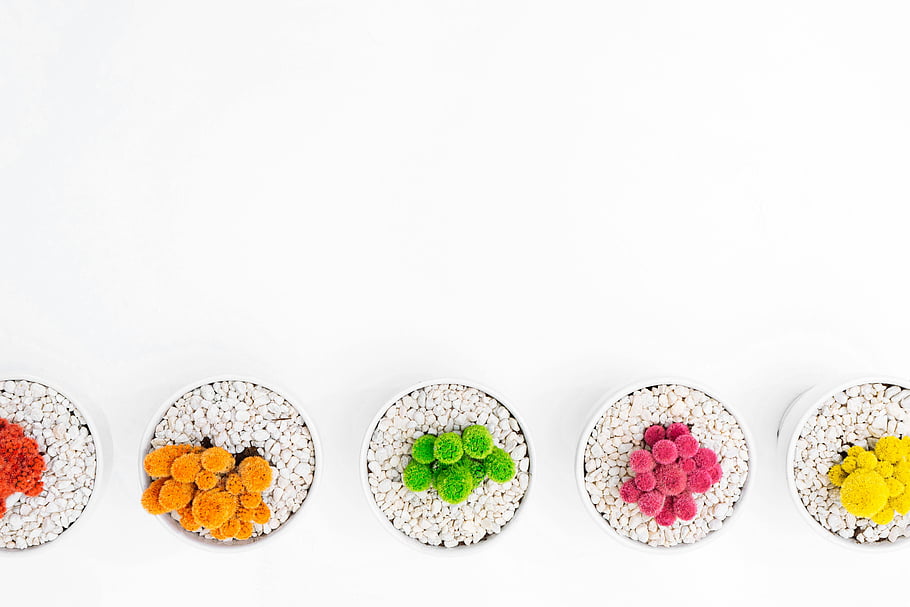 flatlay photography, assorted-color plant, vibrant cacti, white pots, pebbles, white background, top view, colorful succulents, decorative plants, minimalist design, indoor plants