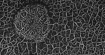 Mars, Noachis Terra, vzory ledu, Rozšíření kontrakce, geologie, krajina, nasa, jpl, výšce, univerzitě v arizoně, Věda
