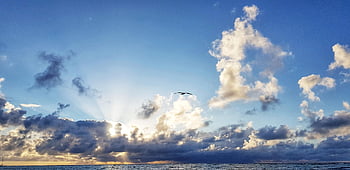ocean, dominican Republic, flight, bird, water, sky, clouds, sunrise, sunset