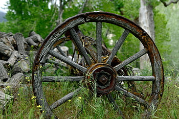 cart, wagon Wheel, wagon, wooden, pioneer, west, oregon Trail, western, vintage, frontier, wheel