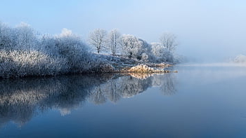 jezero, stromy, sníh, Studený, mráz, voda, jinovatka, scénický, tok, idyla, Příroda