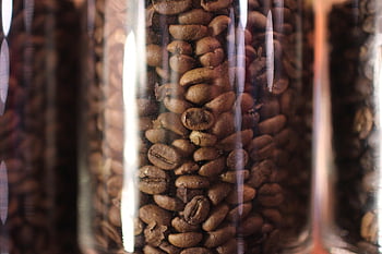 coffee Bean In Jar, arabica, robusta, coffee, caffeine, coffee Cup, aroma, drink, cafe, coffeebean, cappuccino