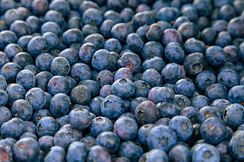 blueberries, fruits, bunch, bunch Of Berries, bunch Of Blueberries, berries, fresh, ripe, fresh Blueberries, ripe Blueberries, produce