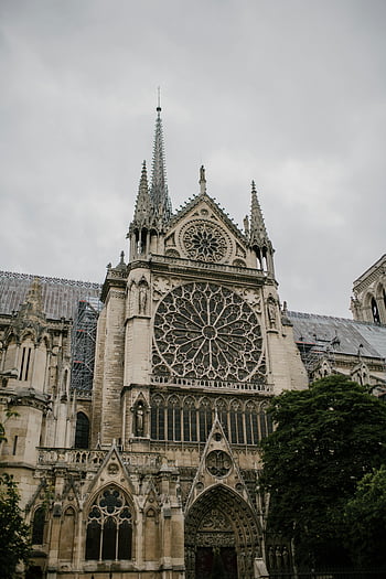 Notre Dame Cathedral, Gothic facade, medieval stone carvings, Paris, spires, old Catholic cathedral, intricate carvings, rose window, historical architecture, France, religious building