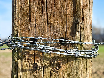 barbed Wire, post, wooden Posts, wire, security, border, delimitation, barbed Wire Fence, pointed, sharpen, mandrel