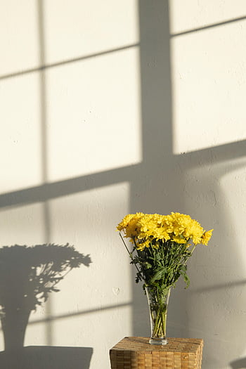 gele bloemen, vaas, chrysanten, zonnige binnen, muurschaduwen, boeket, gele chrysanten, kamerbloemen, bloemstuk, natuurlijk licht, Decoratieve vaas