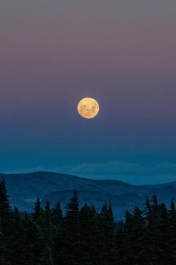 full moon, trees, San Carlos de Bariloche, Argentina, serene view, moon rising, mountains, night sky, landscape, nature, moonlight