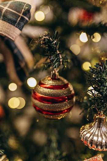 Noel ağacı, kırmızı ve altın biblo, Parıldayan biblo, süslenmiş noel ağacı, yakın çekim fotoğraf, tatil dekorasyonu, şenlikli süslemeler, Noel süsleri, Altın Papaz, kırmızı biblo, Noel ışıkları