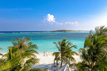 tropischer Strand, türkisfarbenes Wasser, Pristiner Strand, Palmen, blauer Himmel, Luftaufnahme, Paar am Strand, grüne Palmen, Seeblick, tropisches Paradies, Strandurlaub