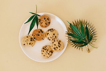大麻注入クッキー、 チョコチップクッキー、 白いセラミック板、 麻の葉、 大麻葉、 黄色の背景、 上面図、 食用大麻、 マリファナクッキー、 大麻の食用、 大麻を注入したトリート