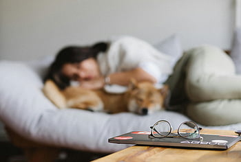 Gezellige binnenscène, vrouw knuffelende hond, sofa, slapende vrouw, bril, ontwerper, tafel, gezellig huis, huisdier eigenaar, ontspanning, comfort