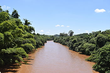 Brazílie, Sao Paulo, řeka, rio pardo, voda, Příroda, ekologie, les, životní prostředí, strom, zelená