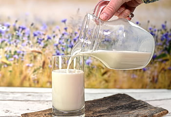 drink, milk, glass, refreshment, nourishment, healthy, dairy