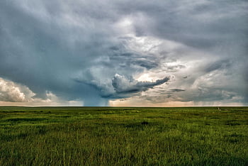 gräsfält, storm moln, expansiv grön jordbruksmark, naturens kraft, dramatisk syn, stormig himmel, landsbygdens landskap, öppet fält, naturlig skönhet, mulet väder, stormiga moln