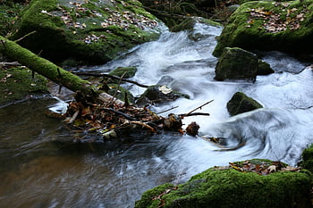 río, rocas, musgo, piedras, agua, llevar una vida de soltero, corriente, Arroyo, cascada, madera, bosque