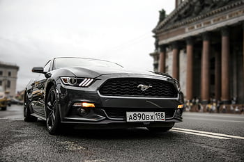 Black Ford Mustang, parked, asphalt road, city street, luxury, performance, sleek design, car, vehicle, urban setting, license plate