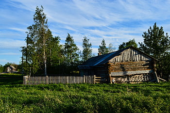 茶色の木造住宅、 素朴な木製のキャビン、 ロシアの田舎、 木々に囲まれている、 緑豊かな緑、 晴天、 木の塀、 田舎の景色、 田園風景、 自然な設定、 素朴な魅力