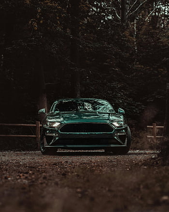 ford mustang, zelené auto, nastavení lesa, elegantní design, Luxusní přitažlivost, zaparkované auto, venkovní scénu, fotografování vozidel, Automobiloví nadšenci, automobilového designu, příroda pozadí