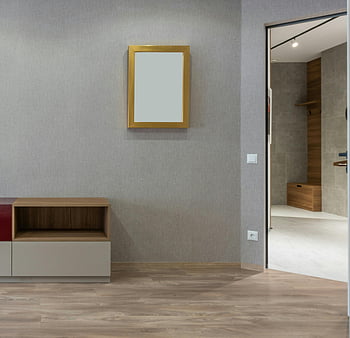 appartamento moderno, stanza vuota, specchio, pareti grigie, pavimenti in legno, interni spaziosi, aprire la porta, design contemporaneo, arredamento minimalista, specchio a muro, casa moderna