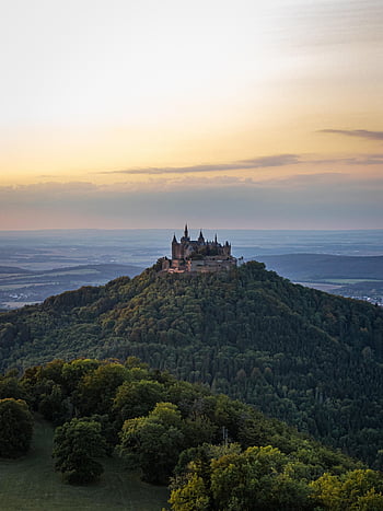hrad, kopec, stromy, les, lesy, hory, věže, budova, architektura, opevnění, citadela
