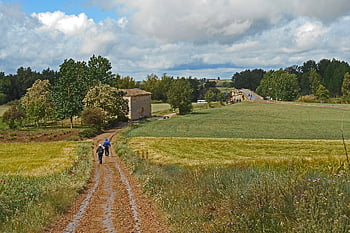 camino de santiago, pouť, poutník, Španělsko, jakobsweg, stezka, cesta, silnice, pole, hospodařit, louka