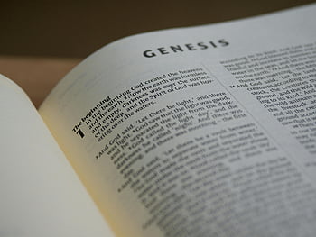 聖書、 起源、 閉じる、 セレクティブフォーカス、 詳細なビュー、 創世記、 テキストのアクセント、 宗教的な文章、 神聖な本、 読む