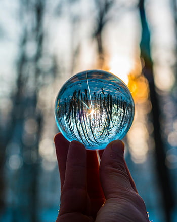 Křišťálová koule, ruka hospodářství, lesní odraz, západ slunce scéna, Magická povaha, odrazný povrch, venkovní fotografie, přirozené světlo, siluety stromů, bokeh efekt, klidná krajina