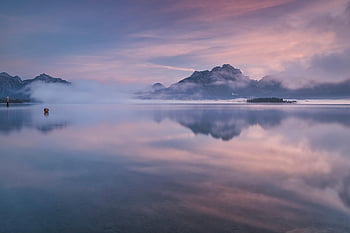 Forggensee, jezero, mlha, allgäu, Příroda, krajina, svítání, klidný