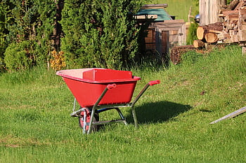 kolečko, Červené, práce na zahradě, louka, zahradní nářadí, kolečka, tráva, sbírat, nabít, zahrada, doprava