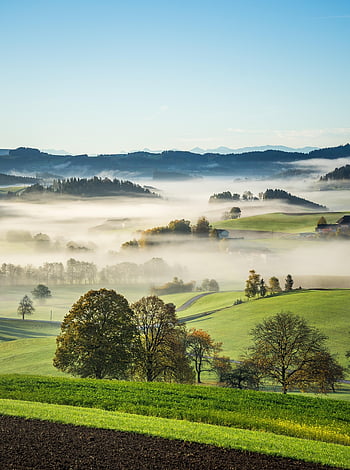 mühlviertel, rural, fog, landscape, austria, upper Austria, vacations, idyll, ooh, fall, autumnal