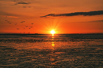 north Sea, sunset, north Frisia, schleswig-holstein, landscape, wadden Sea, nature, sea, ocean, twilight, afterglow