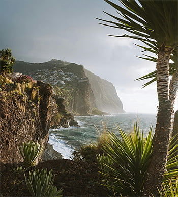 Madeira coastline, dramatic cliffs, lush vegetation, island landscape, rugged terrain, thriving plants, coastal scenery, ocean view, tropical plants, cliffside homes, natural beauty