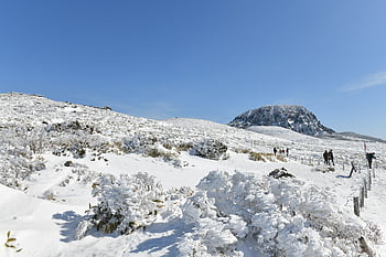 mt Hanlla, winter, snow Scene, republic Of Korea, winter Mountain, nature, snow, korea, jeju Island