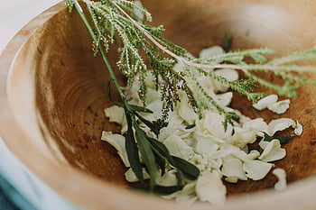 white flowers, brown wooden bowl, fresh herbs, aromatherapy, relaxation, wooden bowl, white petals, natural ingredients, spa treatment, herbal therapy, relaxation bowl