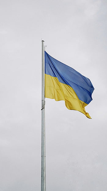 ukrajinská vlajka, modrá a žlutá vlajka, stožár, zataženo pozadí, státní vlajka, vlající vlajka, Ukrajina, modrá žlutá, venkovní scénu, nebe, vítr