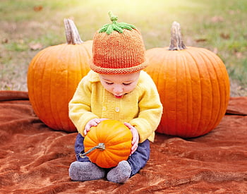 poika, kurpitsat, halloween, lapsi, pudota, syksy, vauva, kurpitsapelto, sato, ilahduttaa, muotokuva