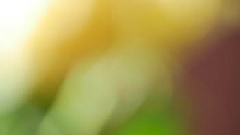 โบเก้, บทคัดย่อ, พื้นหลัง, เบา, แวดวง, Defocus, ผล, ที่เร่าร้อน, แบบแผน, เบลอ, สี
