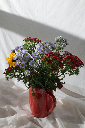 bouquet de fleurs, bouquet dynamique, fleurs sauvages, vase rouge, fond blanc, arrangement floral, fleurs colorées, vase à fleurs, fleurs décoratives, fleurs d'intérieur, affichage floral