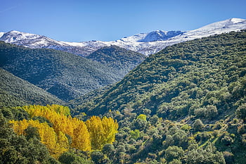 пейзаж, Moutains, сняг, есен, дървета, sierra nevada, природа, Гранада