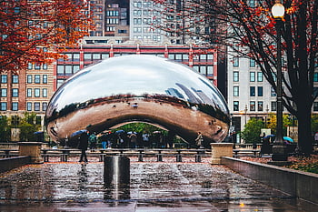 Cloud Gate, The Bean, Millennium Park, Chicago, rainy day, iconic sculpture, reflective surface, urban landscape, autumn leaves, cityscape, public art