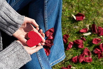 Hjerteformet udskåret, rødt hjerte, kvinde sidder, græs, rosenblade, kærlighed, medfølelse, udendørs scene, Hænder, der holder hjertet, Romantisk symbol, Valentins Dag