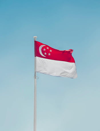 Singapore flag, clear blue sky, waving flag, national pride, identity symbol, Singapore identity, high flag, wind blowing, Singapore pride, flag waving, blue sky background