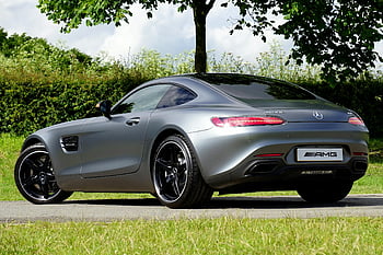 Mercedes-Benz AMG, gray Mercedes-Benz, AMG Coupe, parked near tree, luxury car, outdoor parking, sunny day, Mercedes AMG GT, silver car, trees, grassy area