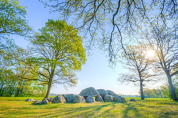 dolmen, holandský, Příroda, krajina, drenthe, Nizozemí, jaro, louka